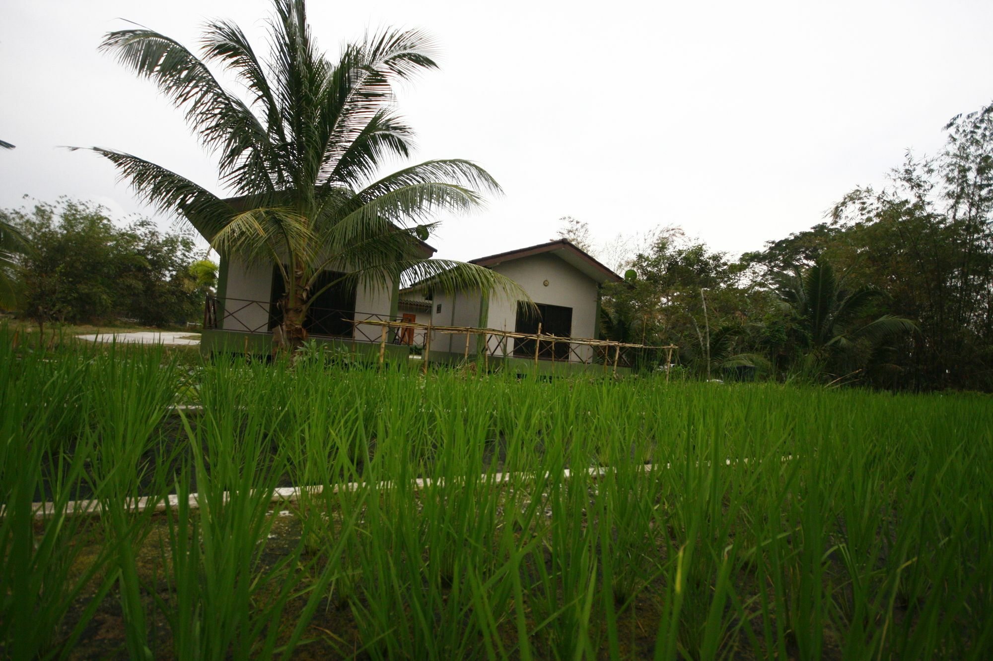 Long Lake Resort Çonburi Dış mekan fotoğraf
