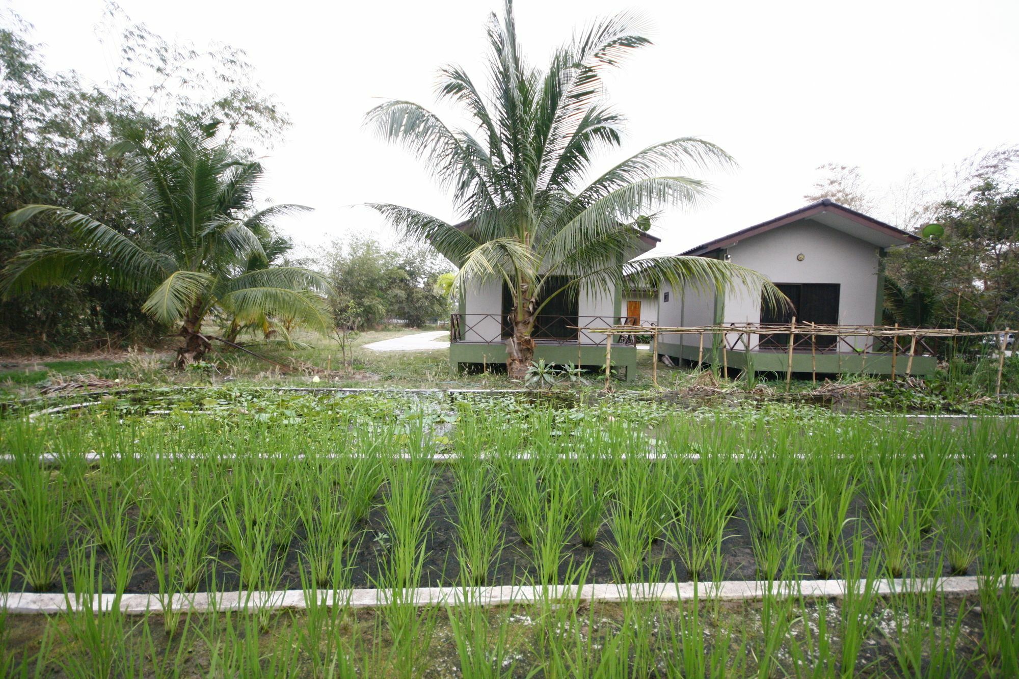 Long Lake Resort Çonburi Dış mekan fotoğraf